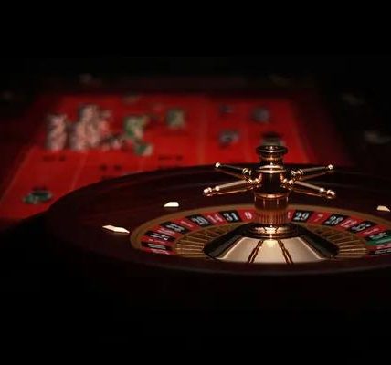 Top bonus casino en ligne Sites Reviewed