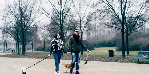 Exploring Animal Abuse: A Personal Perspective
