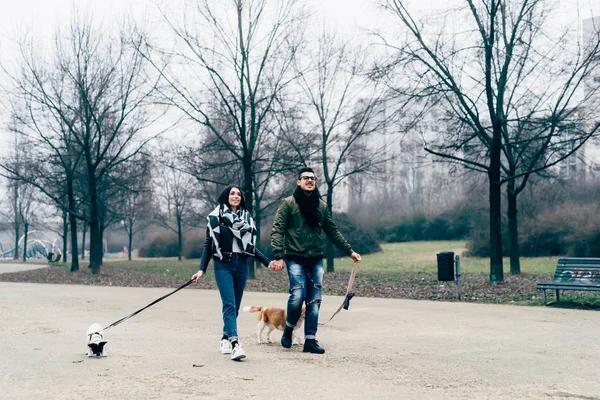 Exploring Animal Abuse: A Personal Perspective